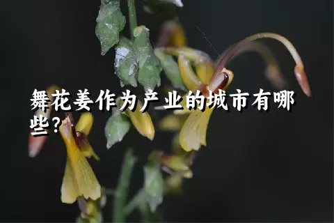 舞花姜作为产业的城市有哪些？