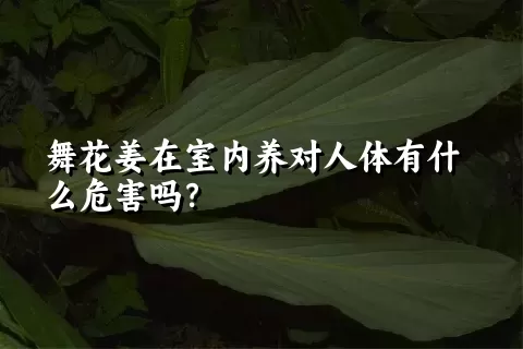 舞花姜在室内养对人体有什么危害吗？