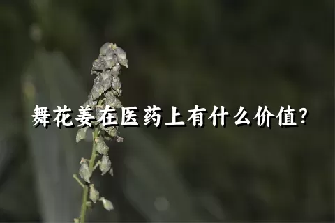 舞花姜在医药上有什么价值？