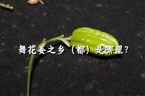 舞花姜之乡（都）是哪里？