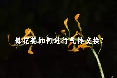 舞花姜如何进行气体交换？