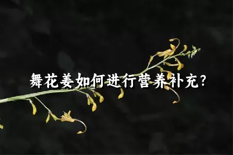 舞花姜如何进行营养补充？