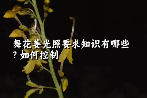 舞花姜光照要求知识有哪些？如何控制