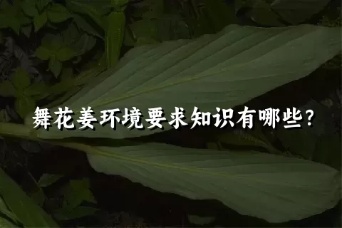 舞花姜环境要求知识有哪些？