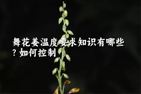 舞花姜温度要求知识有哪些？如何控制