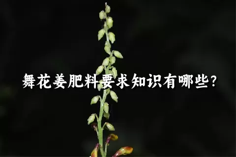 舞花姜肥料要求知识有哪些？