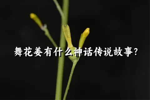 舞花姜有什么神话传说故事？