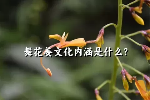 舞花姜文化内涵是什么？