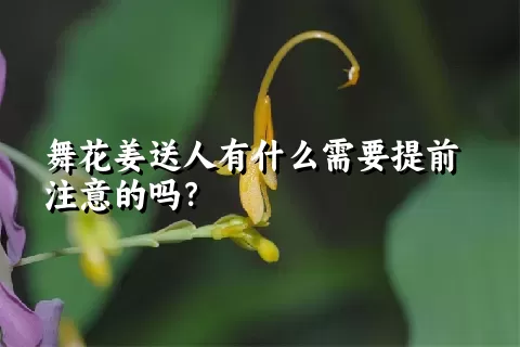 舞花姜送人有什么需要提前注意的吗？