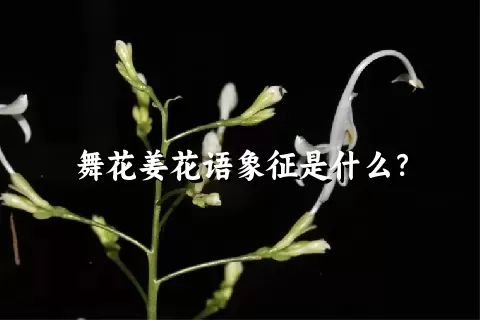 舞花姜花语象征是什么？