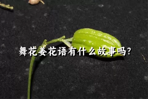 舞花姜花语有什么故事吗？