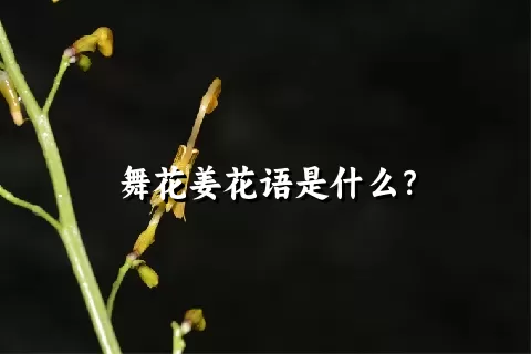 舞花姜花语是什么？