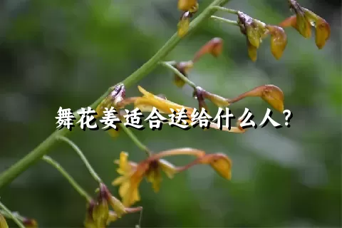 舞花姜适合送给什么人？