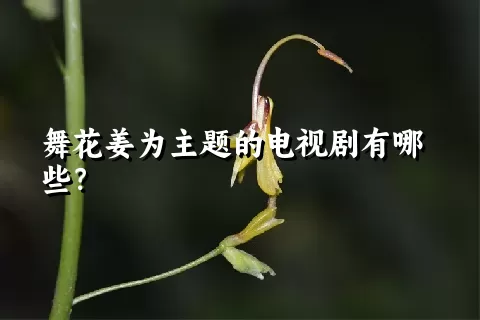 舞花姜为主题的电视剧有哪些？