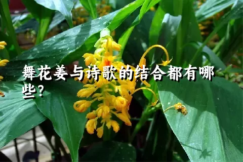 舞花姜与诗歌的结合都有哪些？