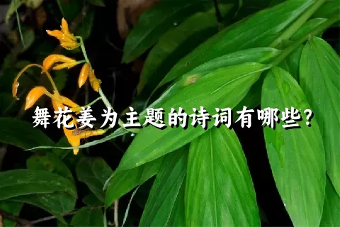 舞花姜为主题的诗词有哪些？