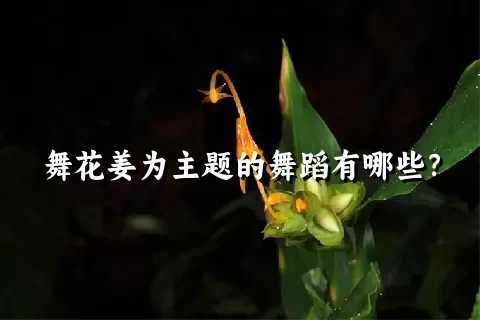 舞花姜为主题的舞蹈有哪些？