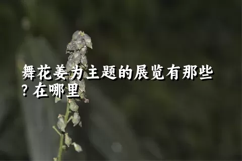 舞花姜为主题的展览有那些？在哪里