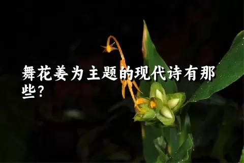 舞花姜为主题的现代诗有那些？