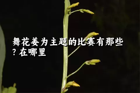 舞花姜为主题的比赛有那些？在哪里