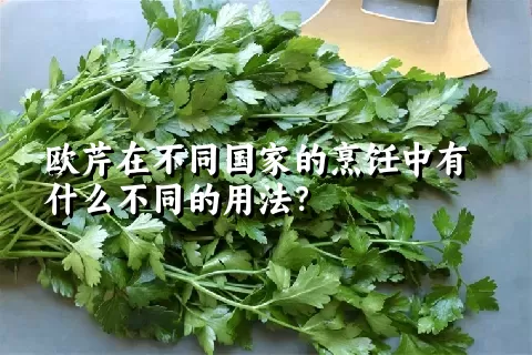 欧芹在不同国家的烹饪中有什么不同的用法？