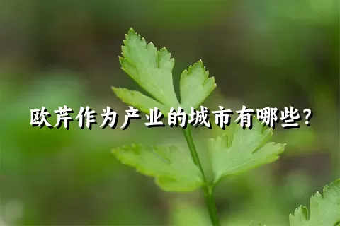 欧芹作为产业的城市有哪些？