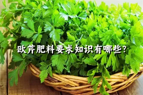 欧芹肥料要求知识有哪些？