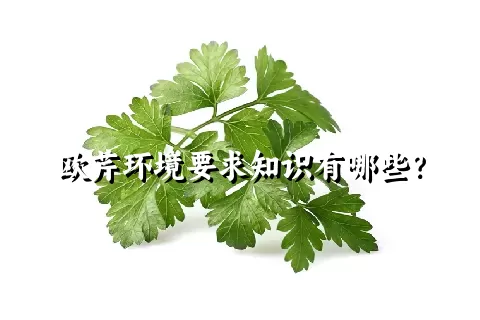 欧芹环境要求知识有哪些？