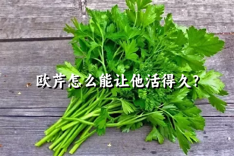 欧芹怎么能让他活得久？