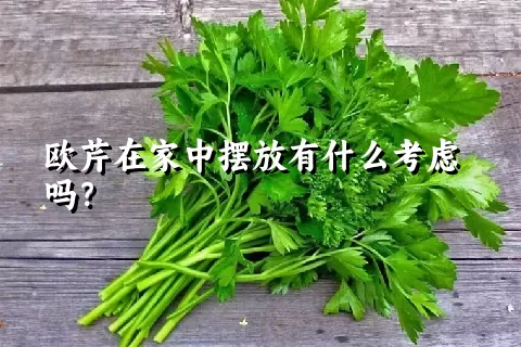 欧芹在家中摆放有什么考虑吗？