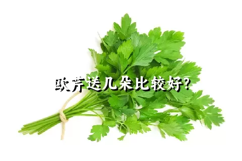 欧芹送几朵比较好？