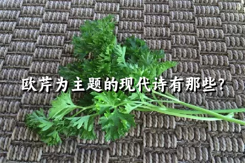 欧芹为主题的现代诗有那些？