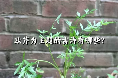 欧芹为主题的古诗有哪些？