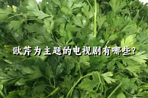 欧芹为主题的电视剧有哪些？