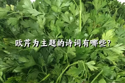 欧芹为主题的诗词有哪些？