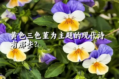 黄色三色堇为主题的现代诗有那些？