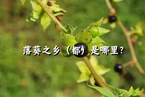 落葵之乡（都）是哪里？