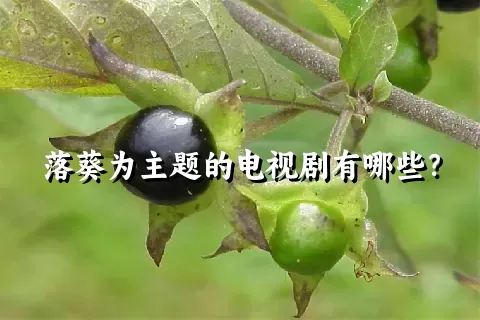 落葵为主题的电视剧有哪些？