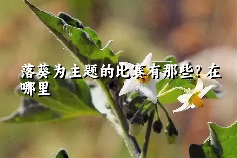 落葵为主题的比赛有那些？在哪里