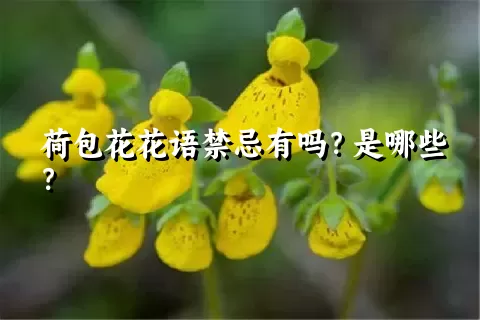 荷包花花语禁忌有吗？是哪些？