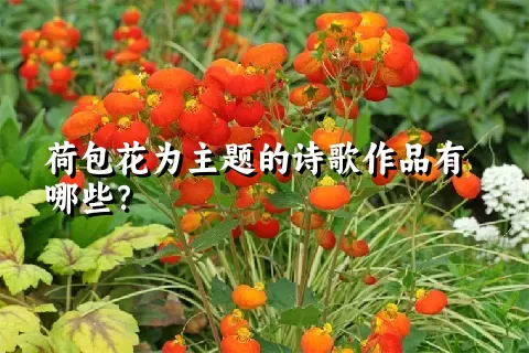 荷包花为主题的诗歌作品有哪些？