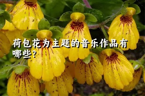 荷包花为主题的音乐作品有哪些？