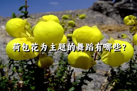 荷包花为主题的舞蹈有哪些？