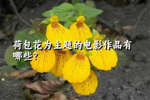 荷包花为主题的电影作品有哪些？