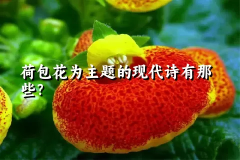 荷包花为主题的现代诗有那些？