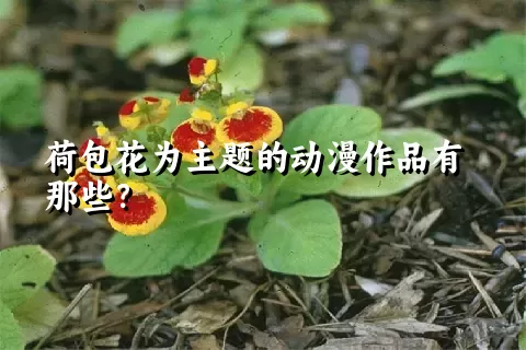 荷包花为主题的动漫作品有那些？