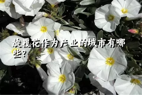 旋覆花作为产业的城市有哪些？