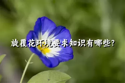 旋覆花环境要求知识有哪些？