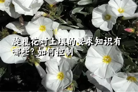 旋覆花对土壤的要求知识有哪些？如何控制