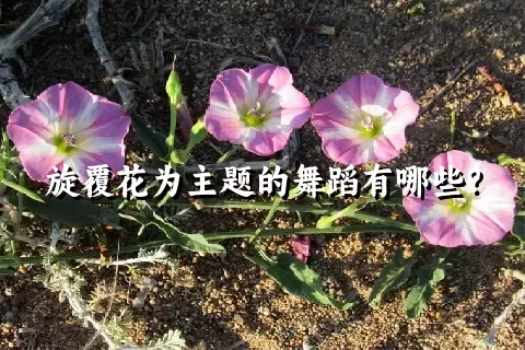 旋覆花为主题的舞蹈有哪些？